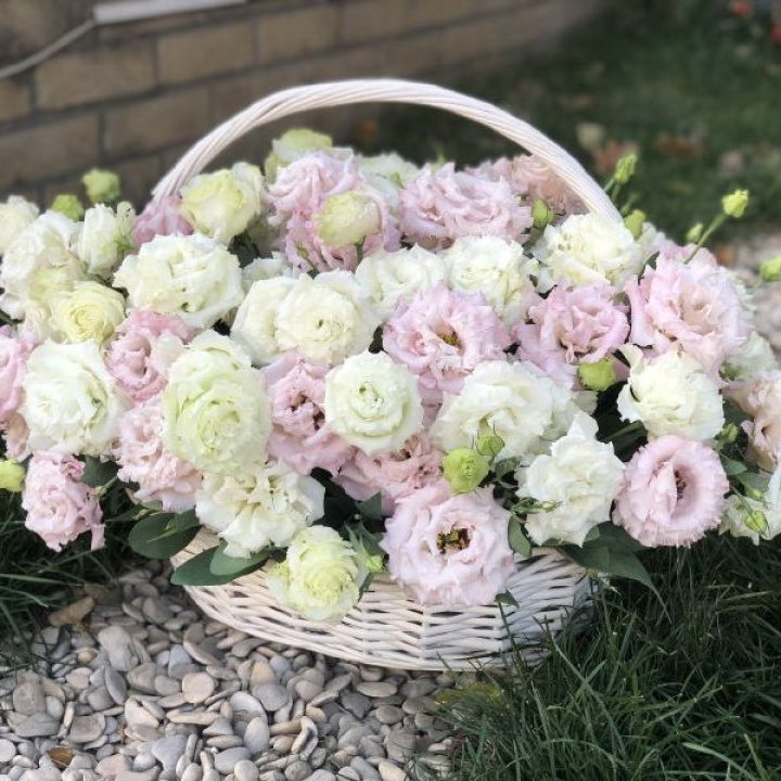 Корзина с эустомой в Иваново