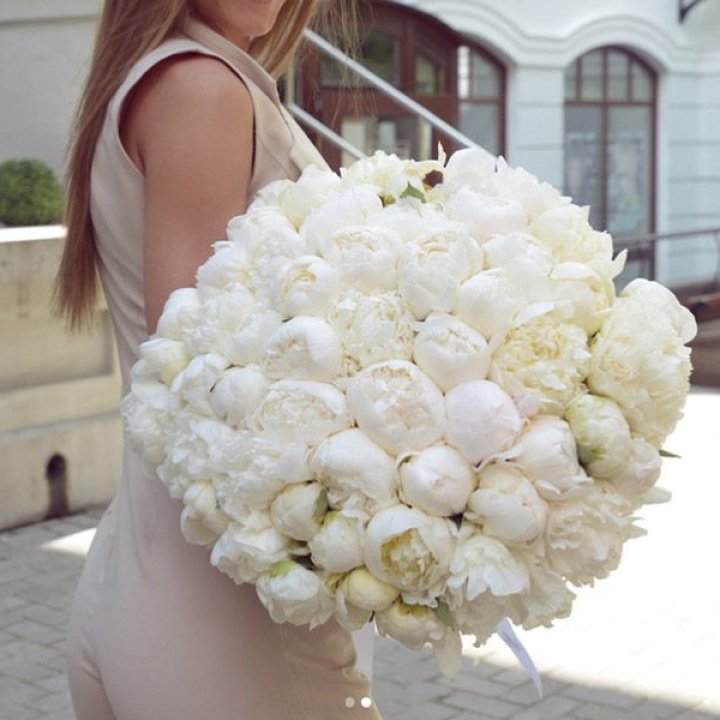 51 белый пион в Иваново