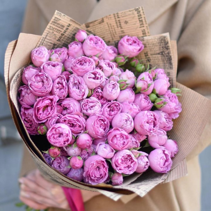 Роза Мисти Баблс в Иваново