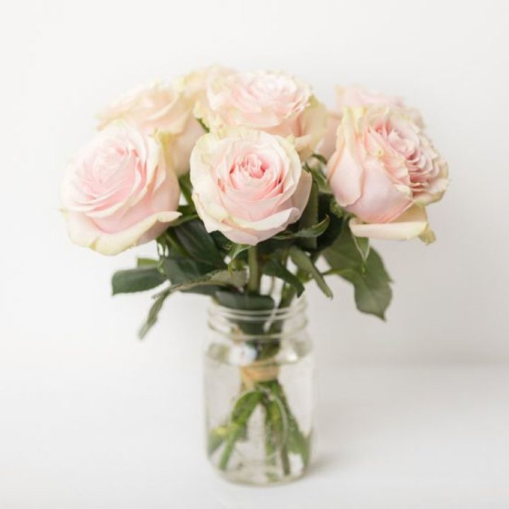 7 кремовых роз в Иваново