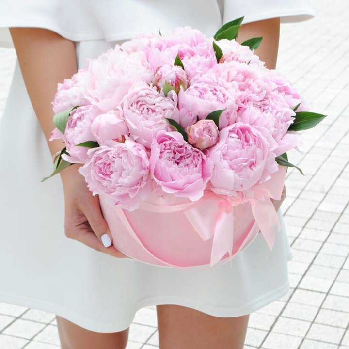 Пионы в шляпной коробке в Иваново