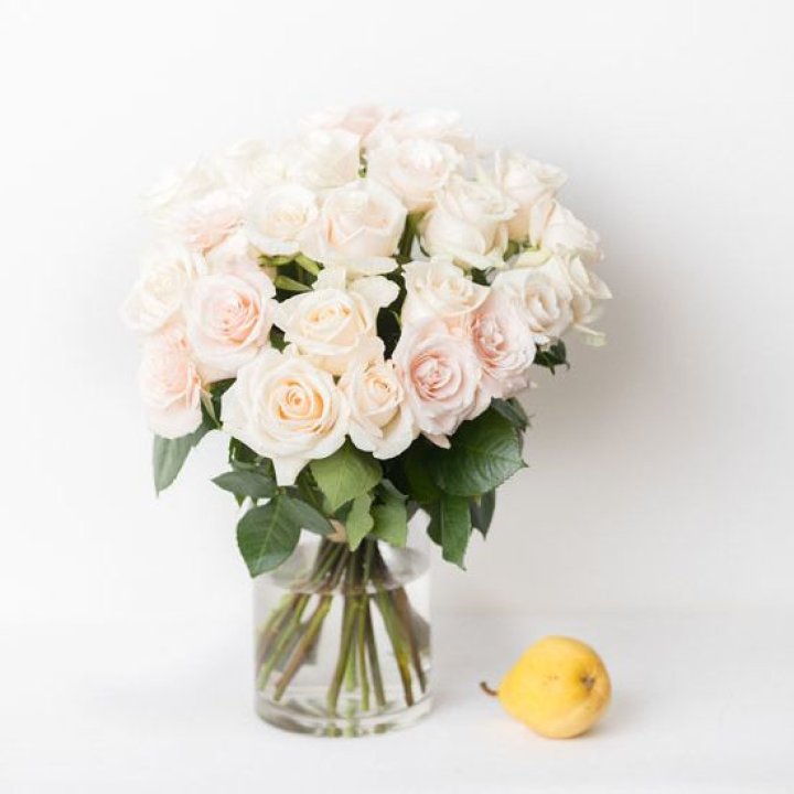 25 кремовых роз в Иваново