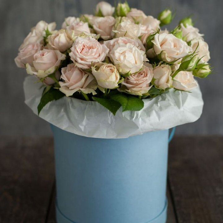 Бокс с бомбастиком в Иваново