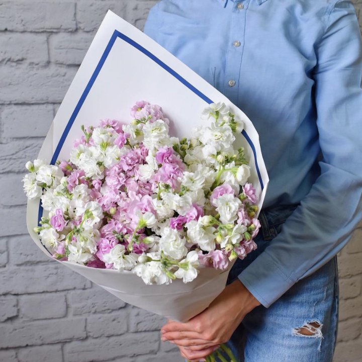 Маттиола в Иваново