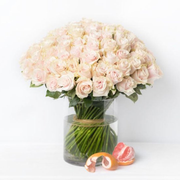 101 кремовая роза в Иваново