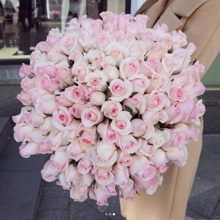 Розы "Пинк бум" в Иваново