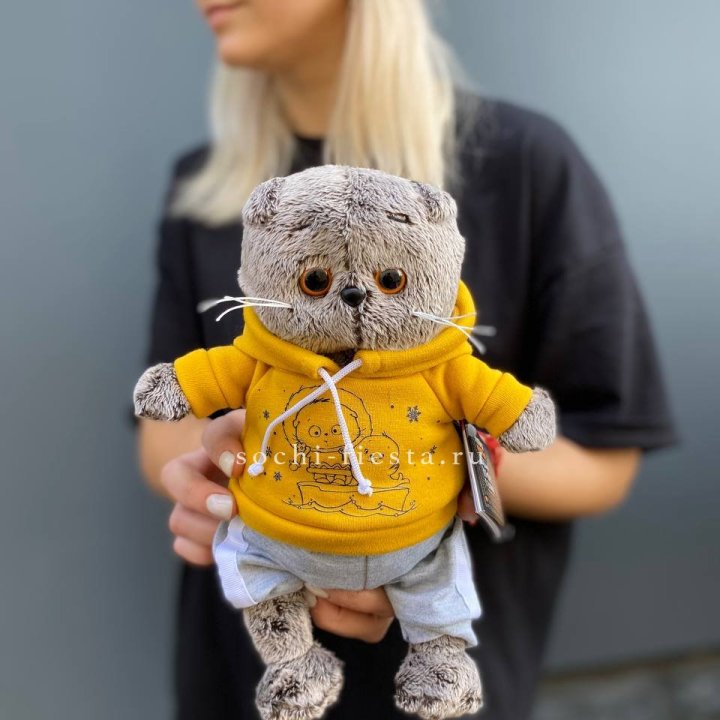 Кот Басик в худи в Иваново