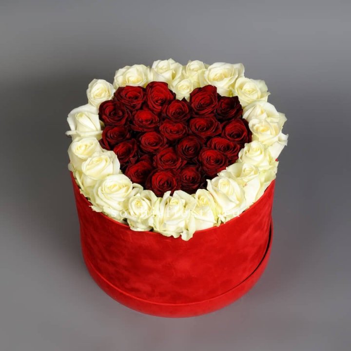 39 красных и белых роз в цилиндре в Иваново