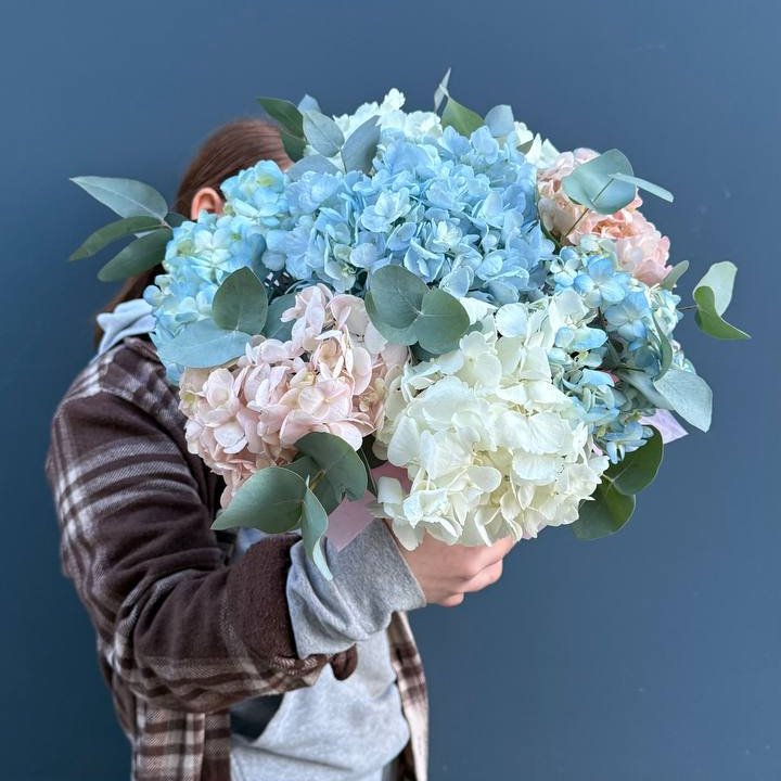 Гортензии в коробочке в Иваново