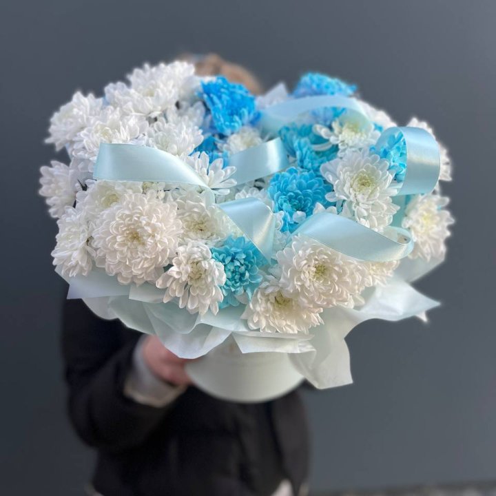 Хризнтемы в боксе в Иваново