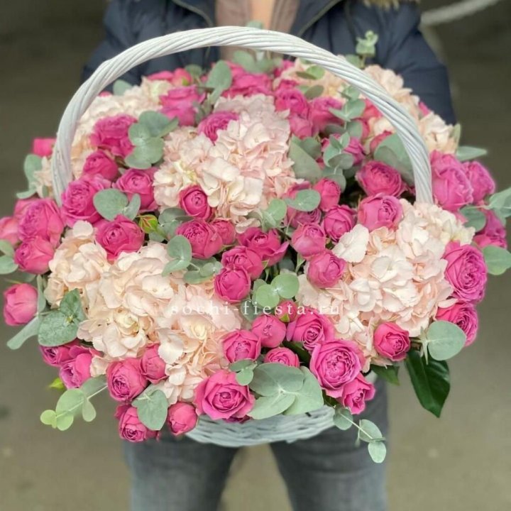 Корзина с гортензией и Мисти Баблс в Иваново