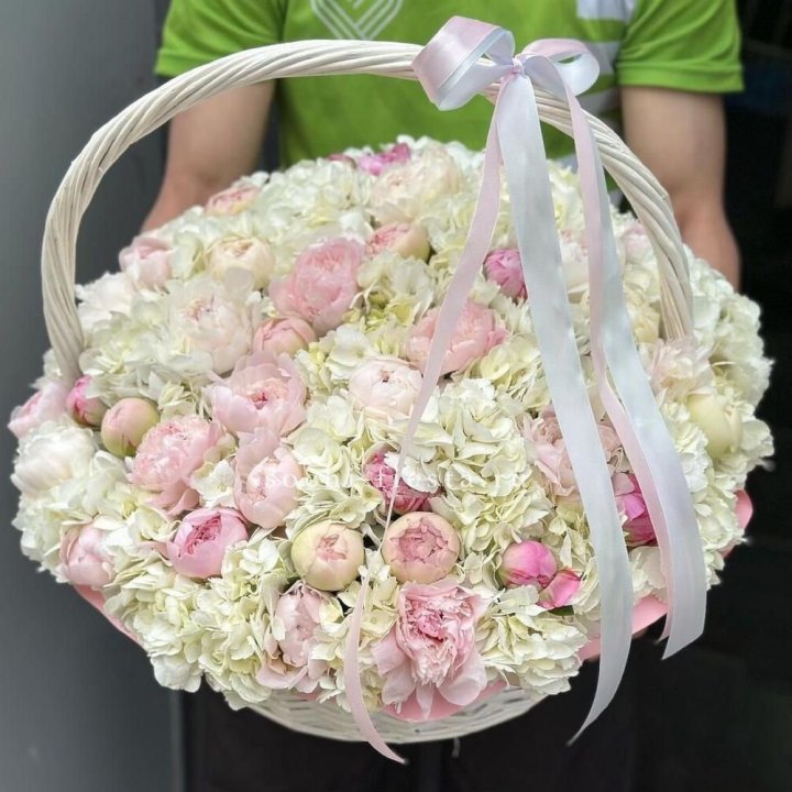 Премиум корзина гортензий и пионов в Иваново