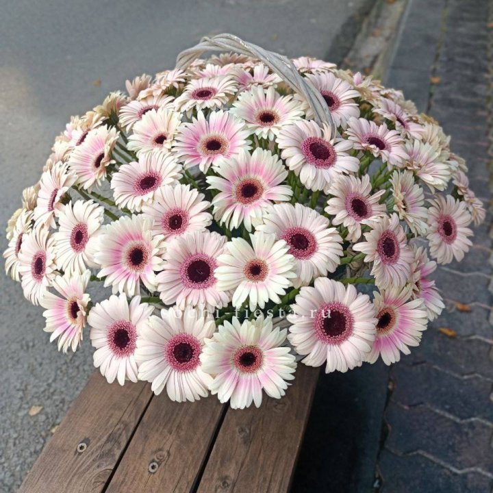 Корзина с герберами  в Иваново
