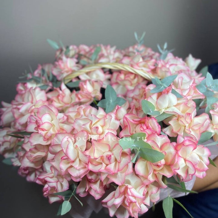 51 джумилия  в корзине   в Иваново