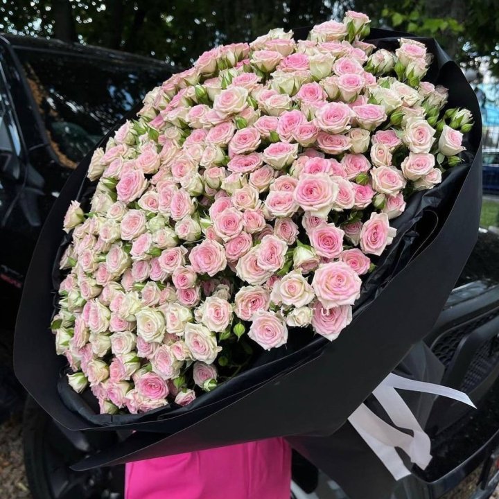 101 кустовая роза "Твистер" в Иваново