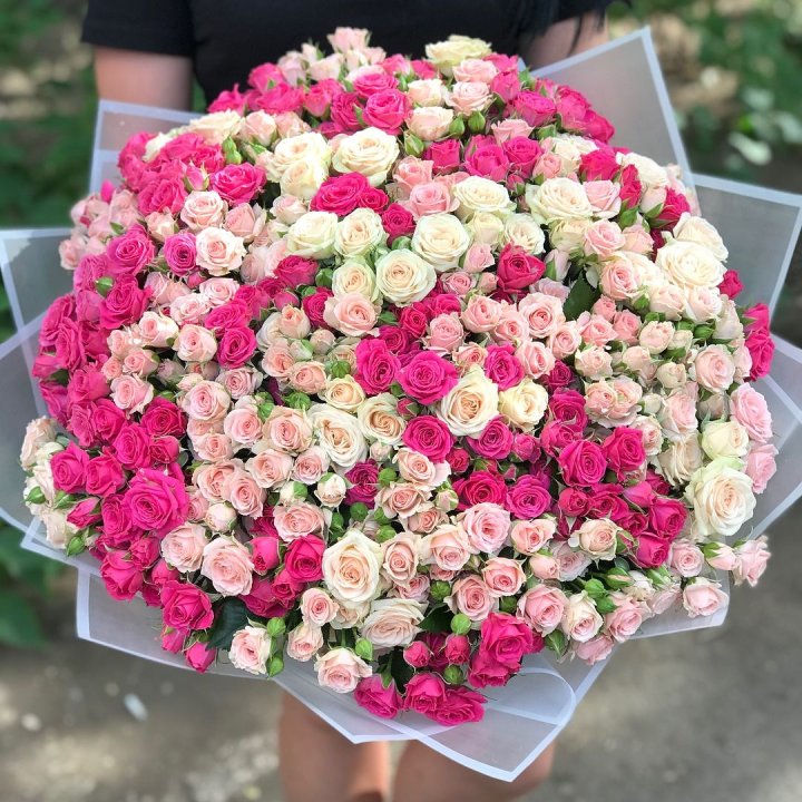 101 кустовая роза в Иваново