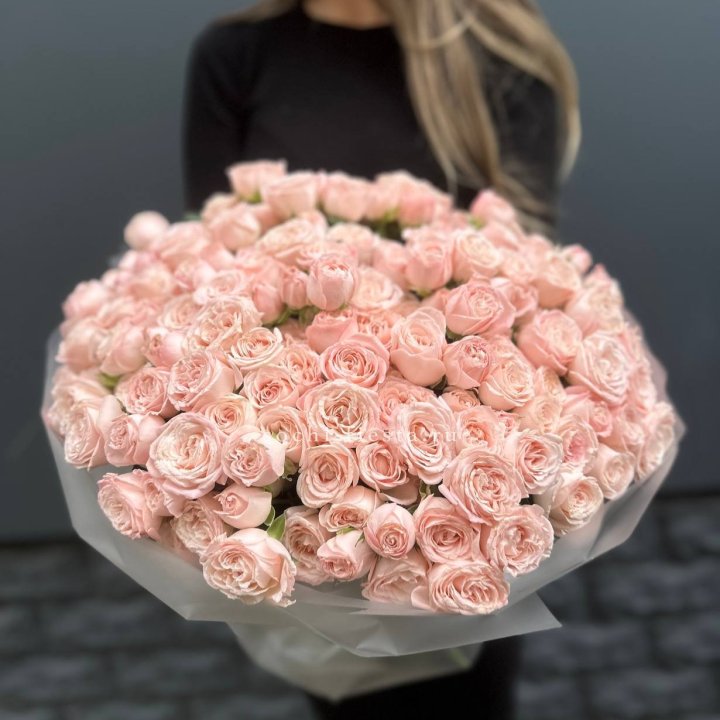 51 кустовая роза Бомбастик в Иваново