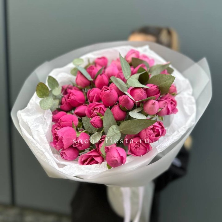 17 Мисти бабблс в Иваново