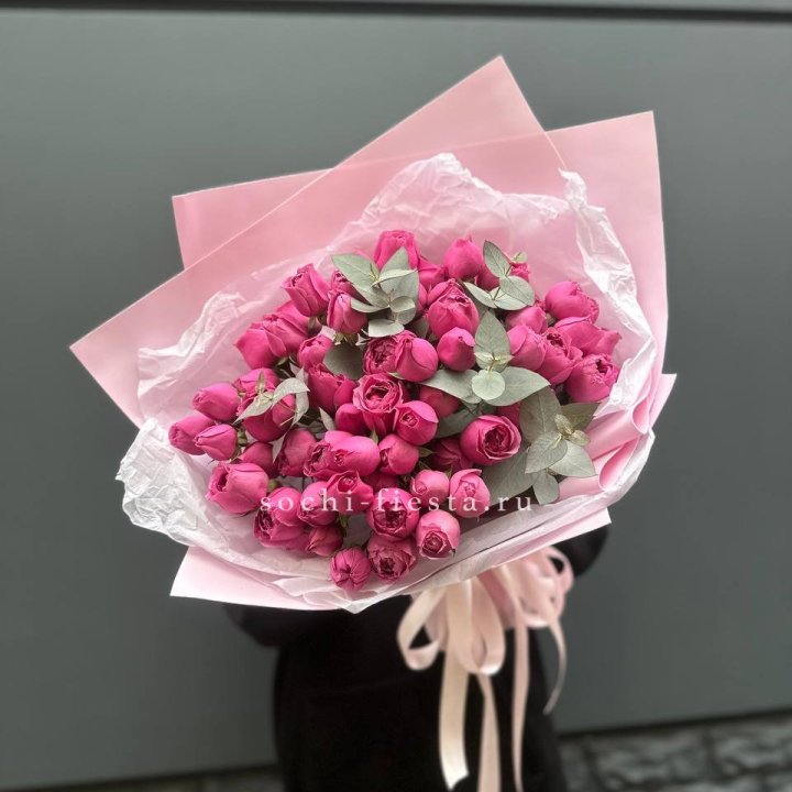 25 Мисти бабблс в Иваново