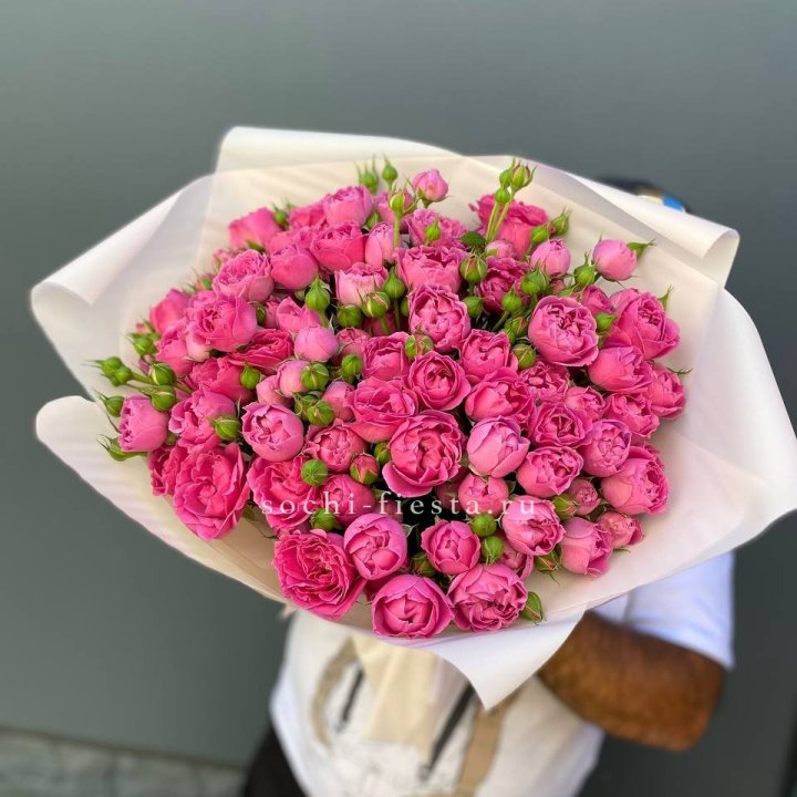 Мисти Баблс 35шт в Иваново