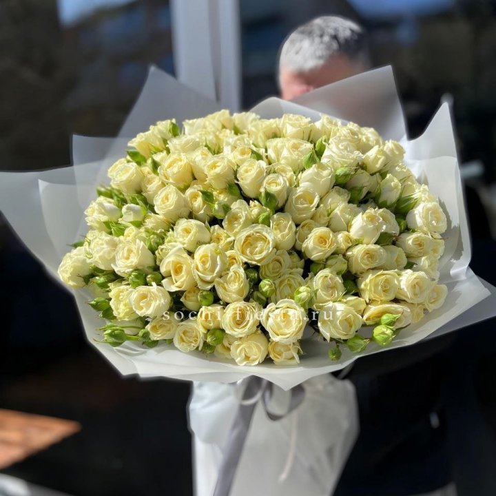 Белые кустовые розы 31 шт в Иваново