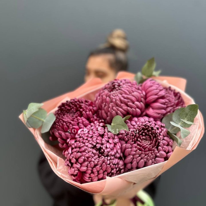 Хризантемы  Бигуди  в Иваново