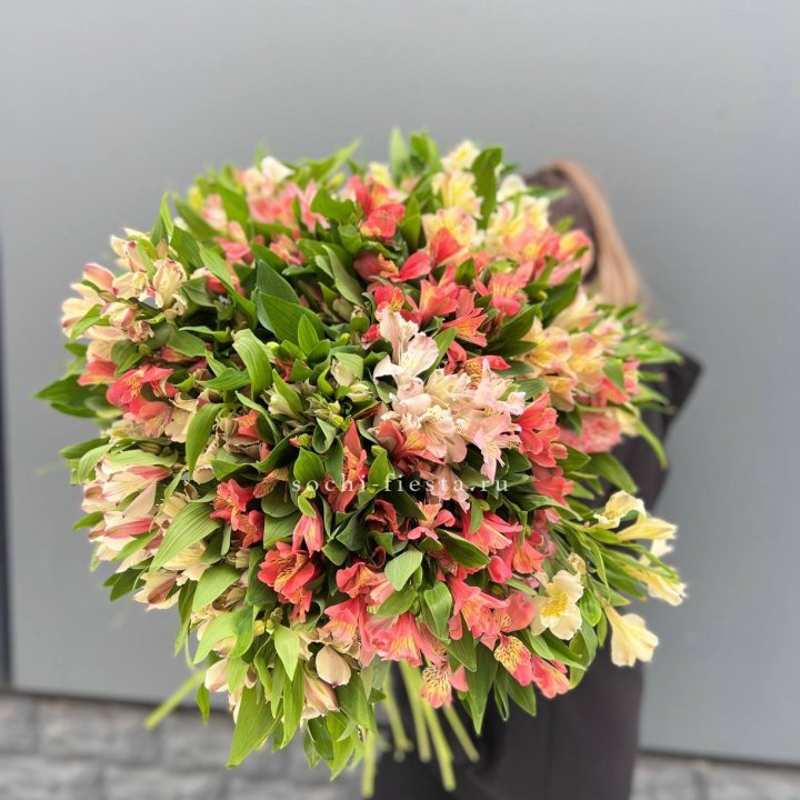 51 альстромерия в Иваново