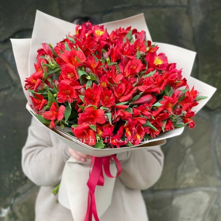 51 альстромерия в Иваново