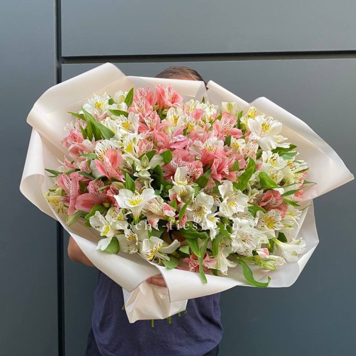 39 альстромерий в Иваново