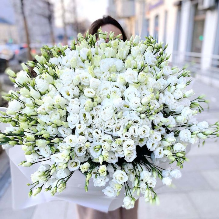 101 белая эустома в Иваново