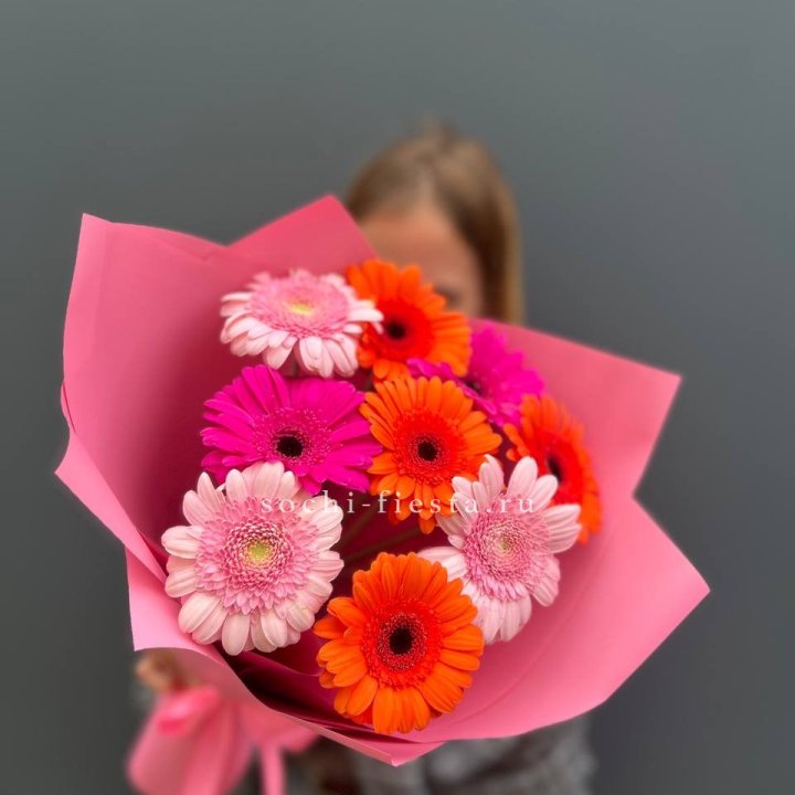 Краски в Иваново