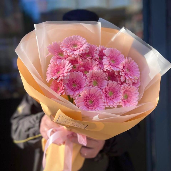 17 розовых гербер  в Иваново