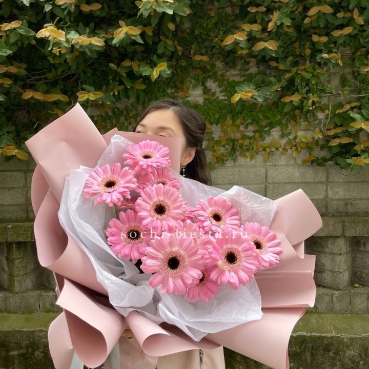 13 розовых гербер в Иваново