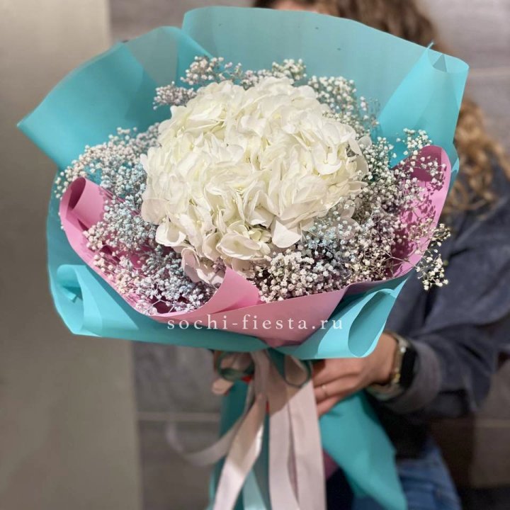 Гортензия "Райдов" в Иваново