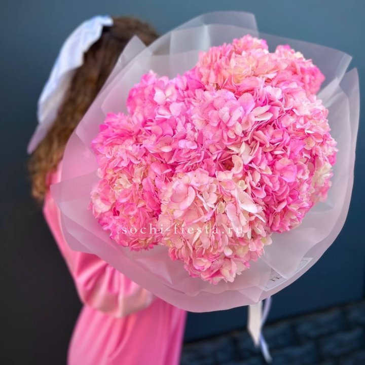 7 ярко розовых гортензий в Иваново