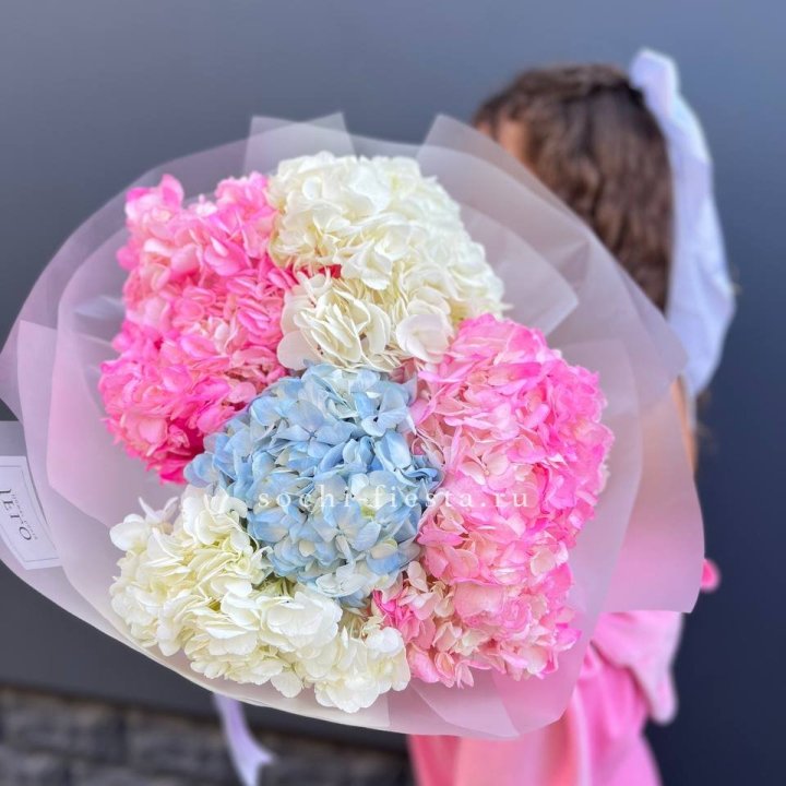7 гортензий микс в Иваново
