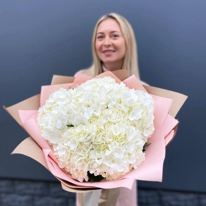 Гортензия белая в Иваново