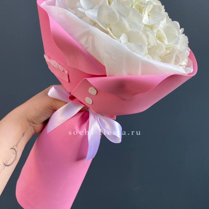 Гортензия в розовом пиджаке в Иваново