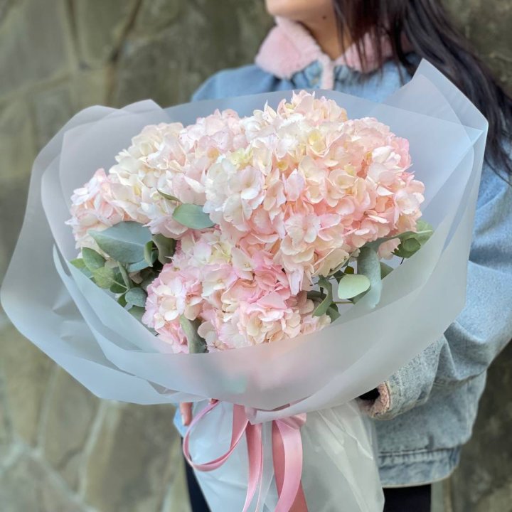 5 розовых гортензий в Иваново