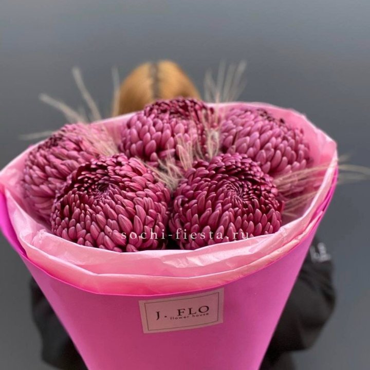 Хризантемы  Бигуди с стифой в Иваново