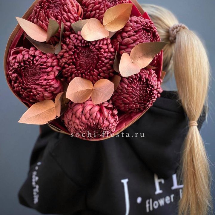 Хризантемы "Голд шоколад" в Иваново