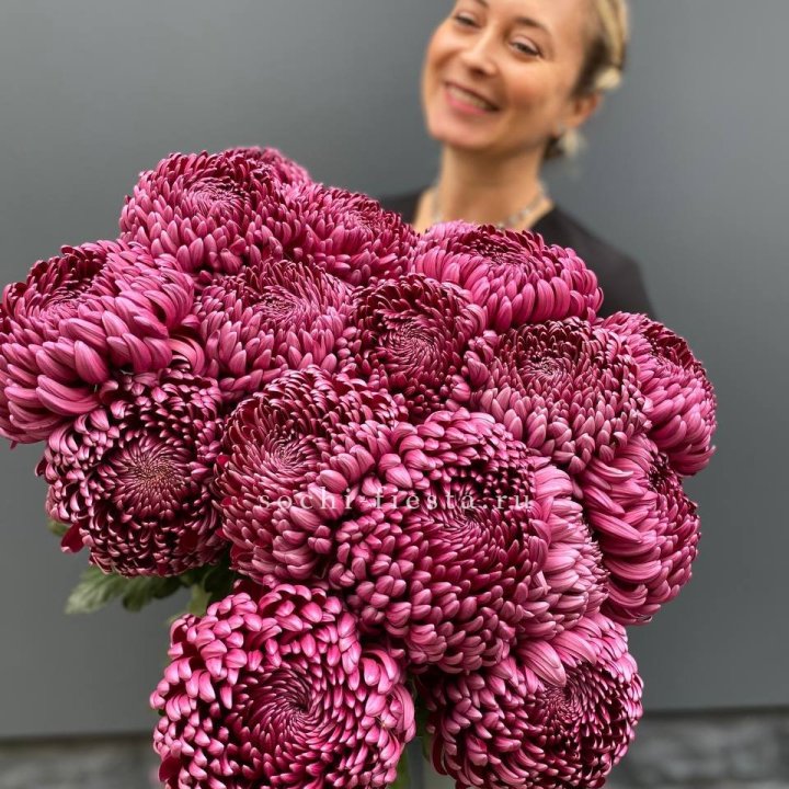 Охапка хризантем Бигуди в Иваново