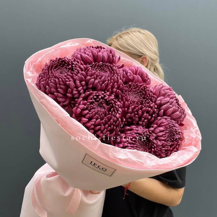 9 хризантем бигуди в Иваново