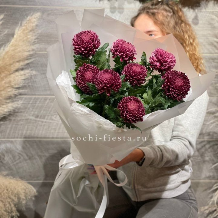 Хризантемы Бигуди в Иваново