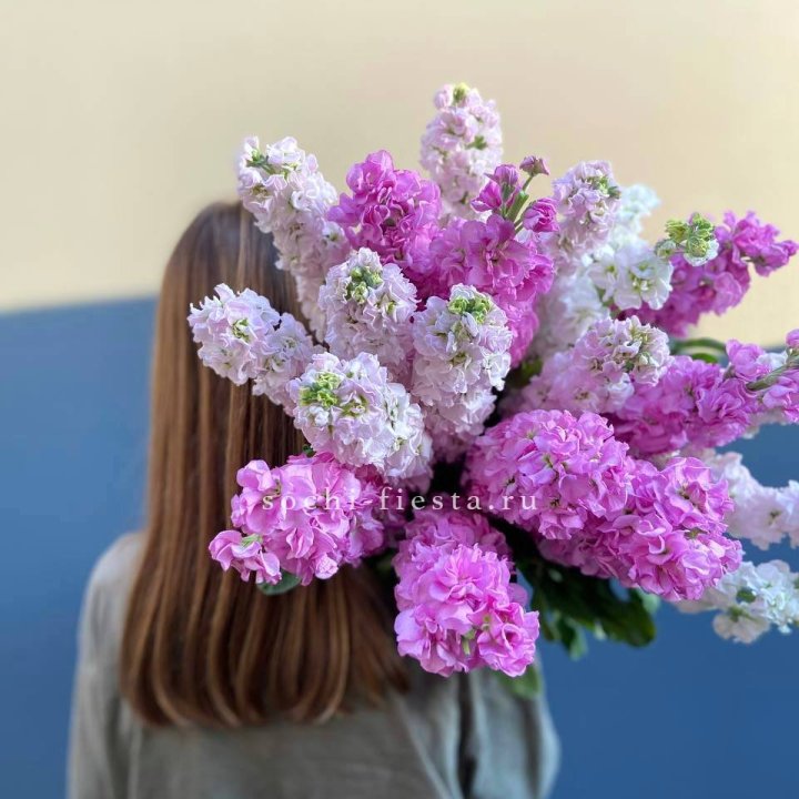 Охапка маттиолы в Иваново