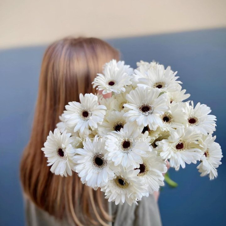 Охапка гербер в Иваново