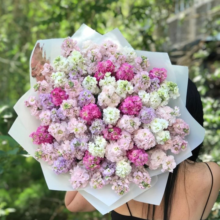 Букет ароматной маттиоллы №3 в Иваново