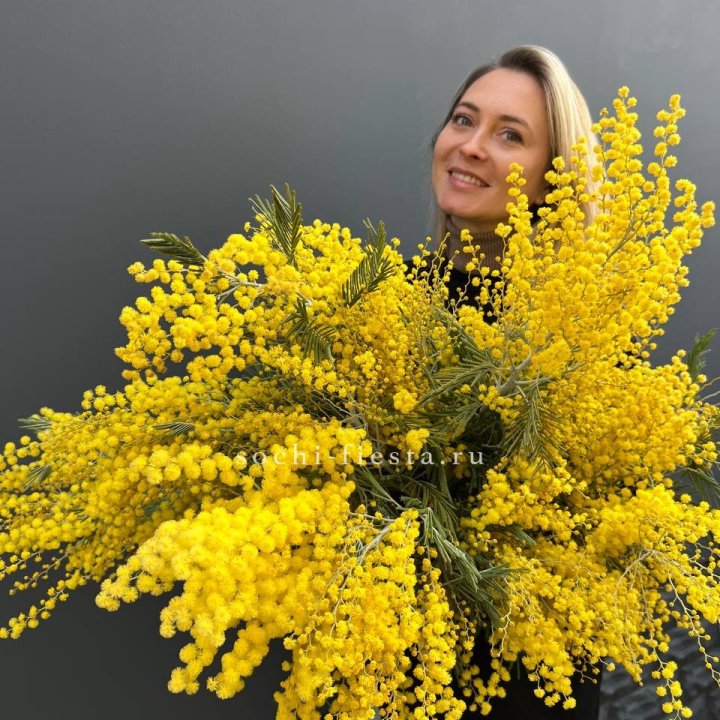 Охапка мимозы №2 в Иваново