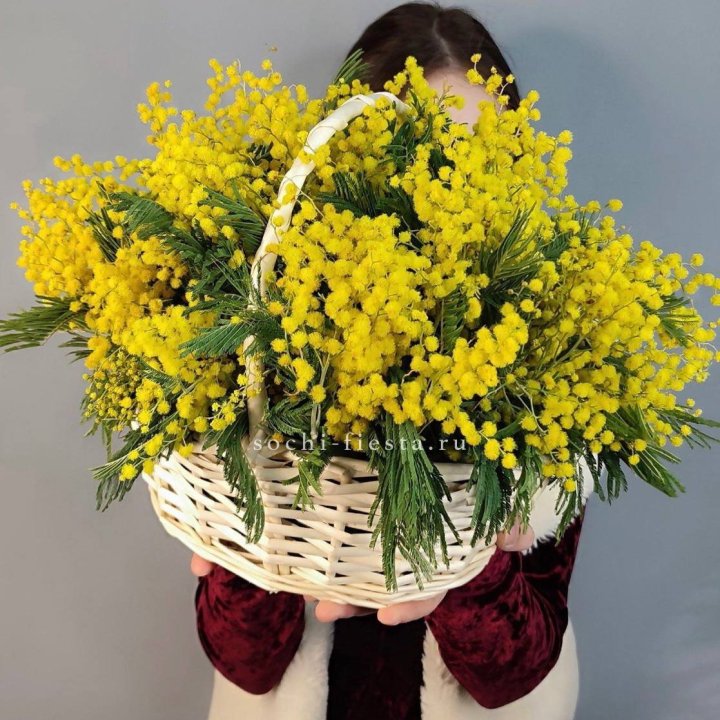 Корзина ароматной мимозы в Иваново
