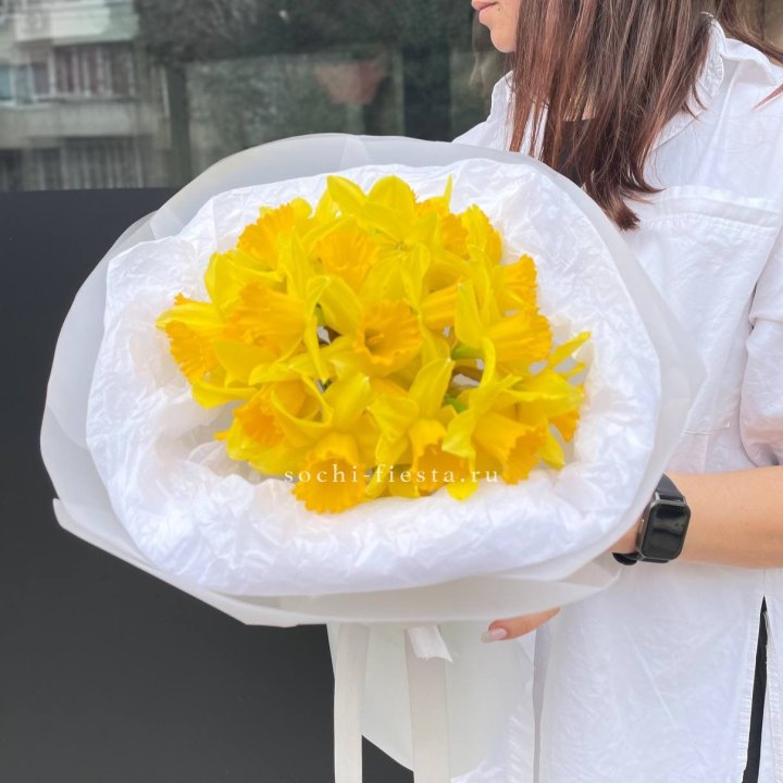 Нарциссы 25 шт в Иваново